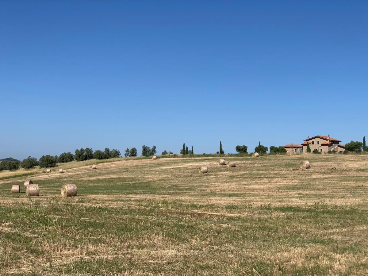 Il Poggio Di Musignano Villa Musignano  ภายนอก รูปภาพ