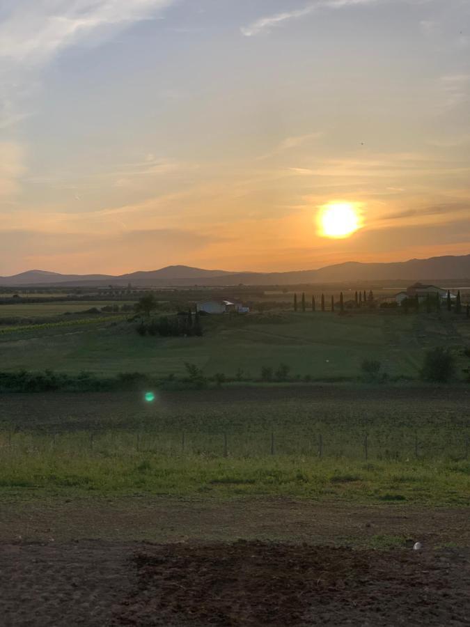 Il Poggio Di Musignano Villa Musignano  ภายนอก รูปภาพ