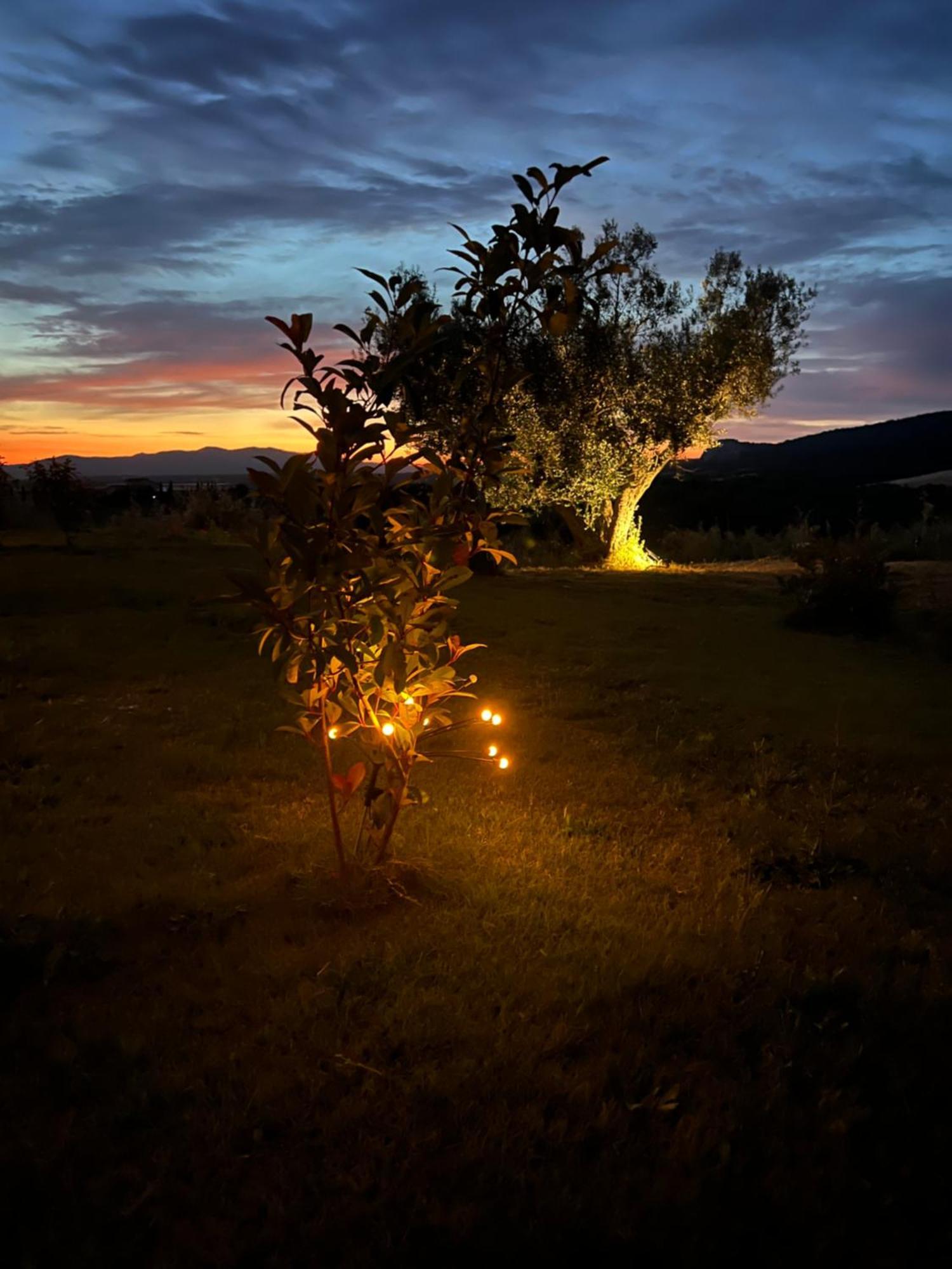 Il Poggio Di Musignano Villa Musignano  ภายนอก รูปภาพ