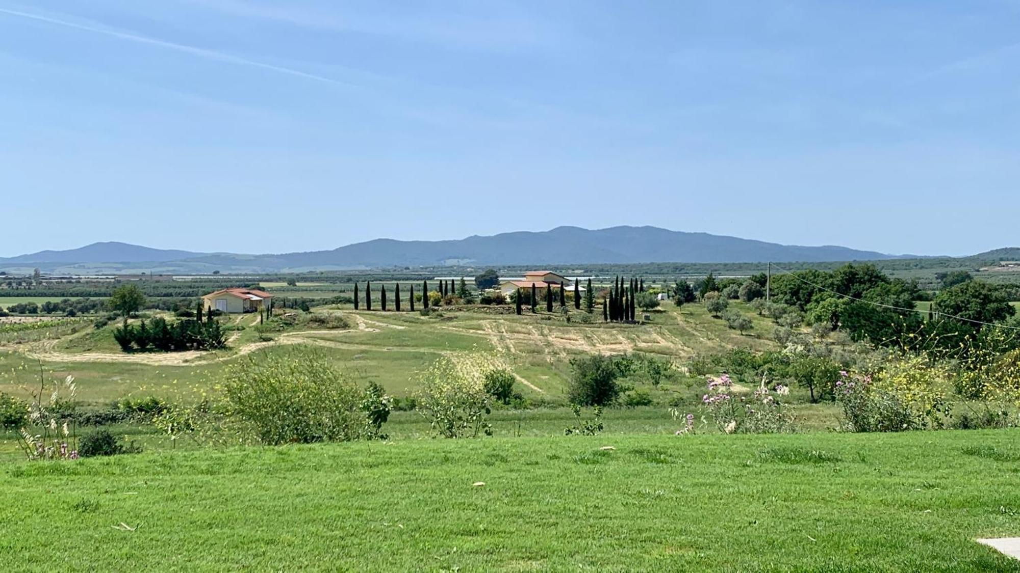 Il Poggio Di Musignano Villa Musignano  ภายนอก รูปภาพ