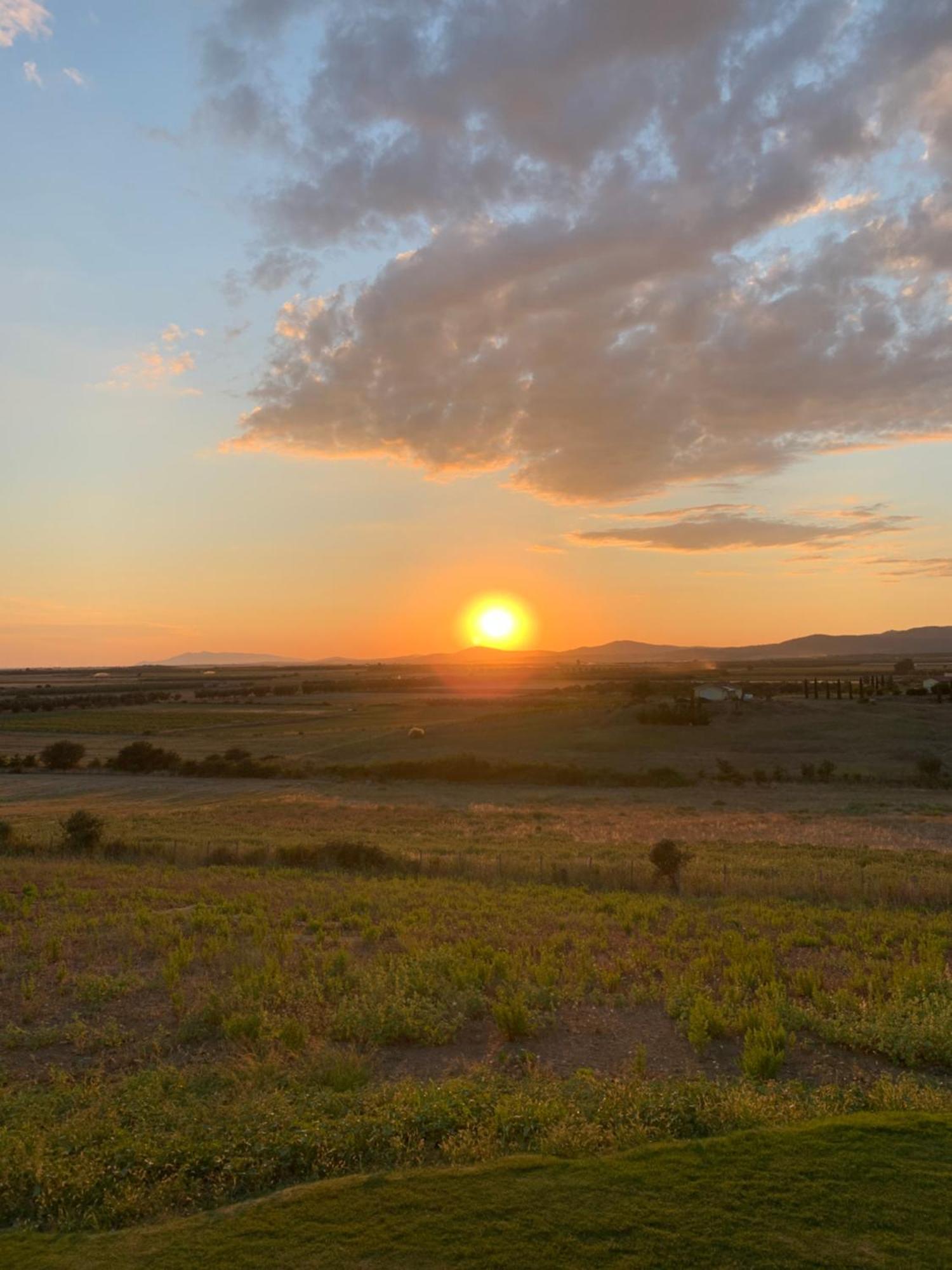 Il Poggio Di Musignano Villa Musignano  ภายนอก รูปภาพ
