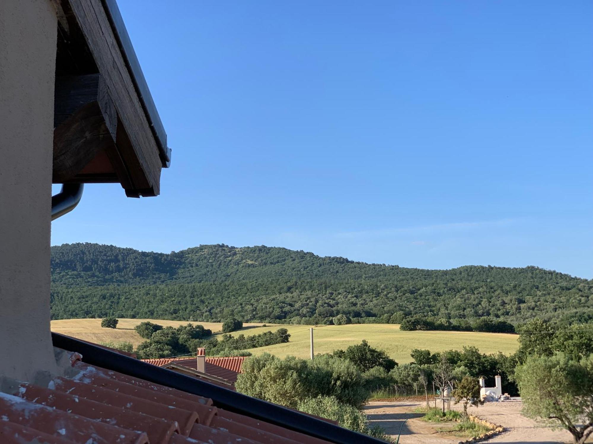 Il Poggio Di Musignano Villa Musignano  ภายนอก รูปภาพ